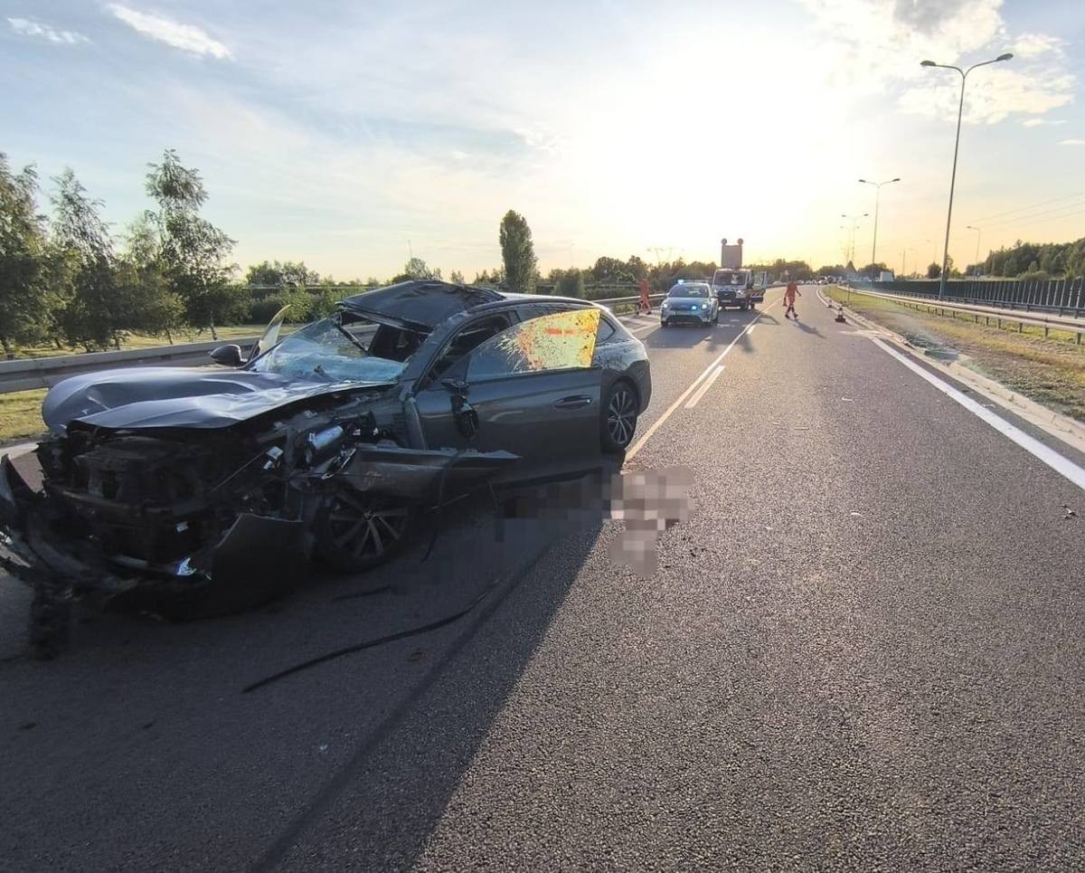 Osobowy peugeot po zderzeniu z łosiem