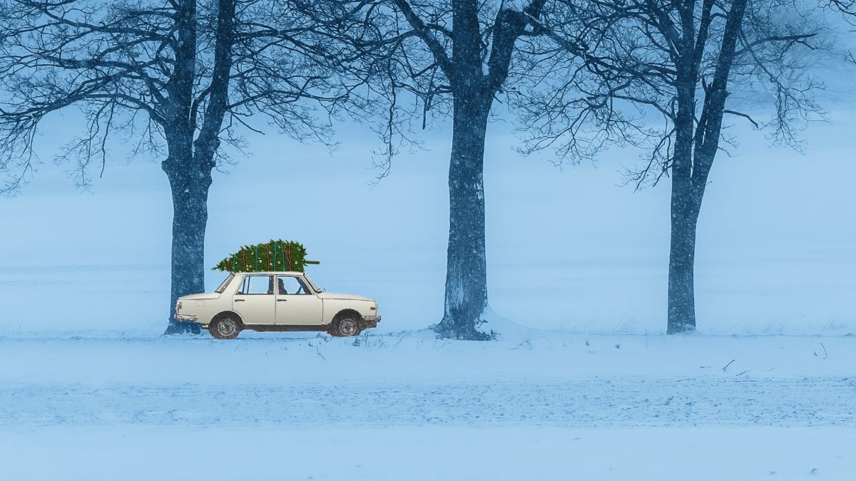 Wartburg: kampania "Świąteczne historie" OTOMOTO