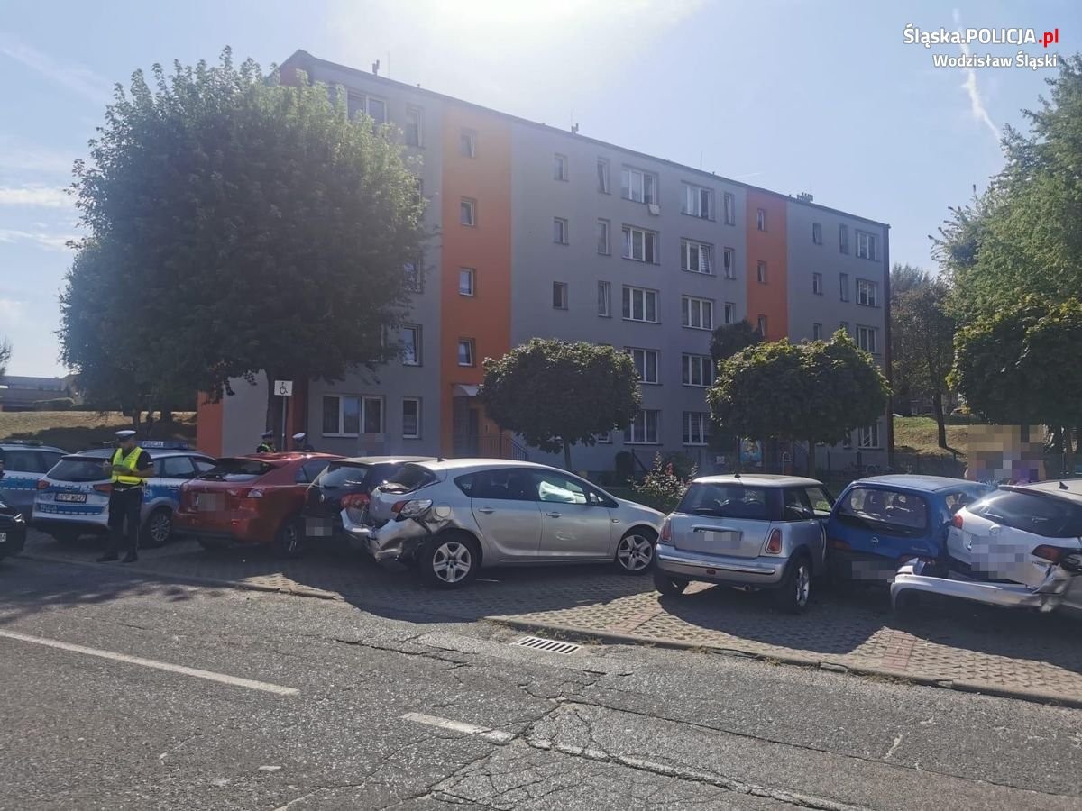 Źródło: wodzislaw-slaski.policja.gov.pl/policja.pl