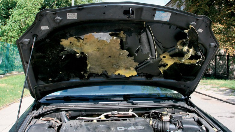 Jeśli kuna dostanie się pod maskę, może zniszczyć wszystko, co jest w zasięgu jej zębów: od wygłuszeń po 
przewody