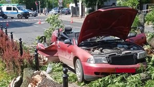 Drzewo przewróciło się wprost na jadący samochód - poszkodowane dwie osoby