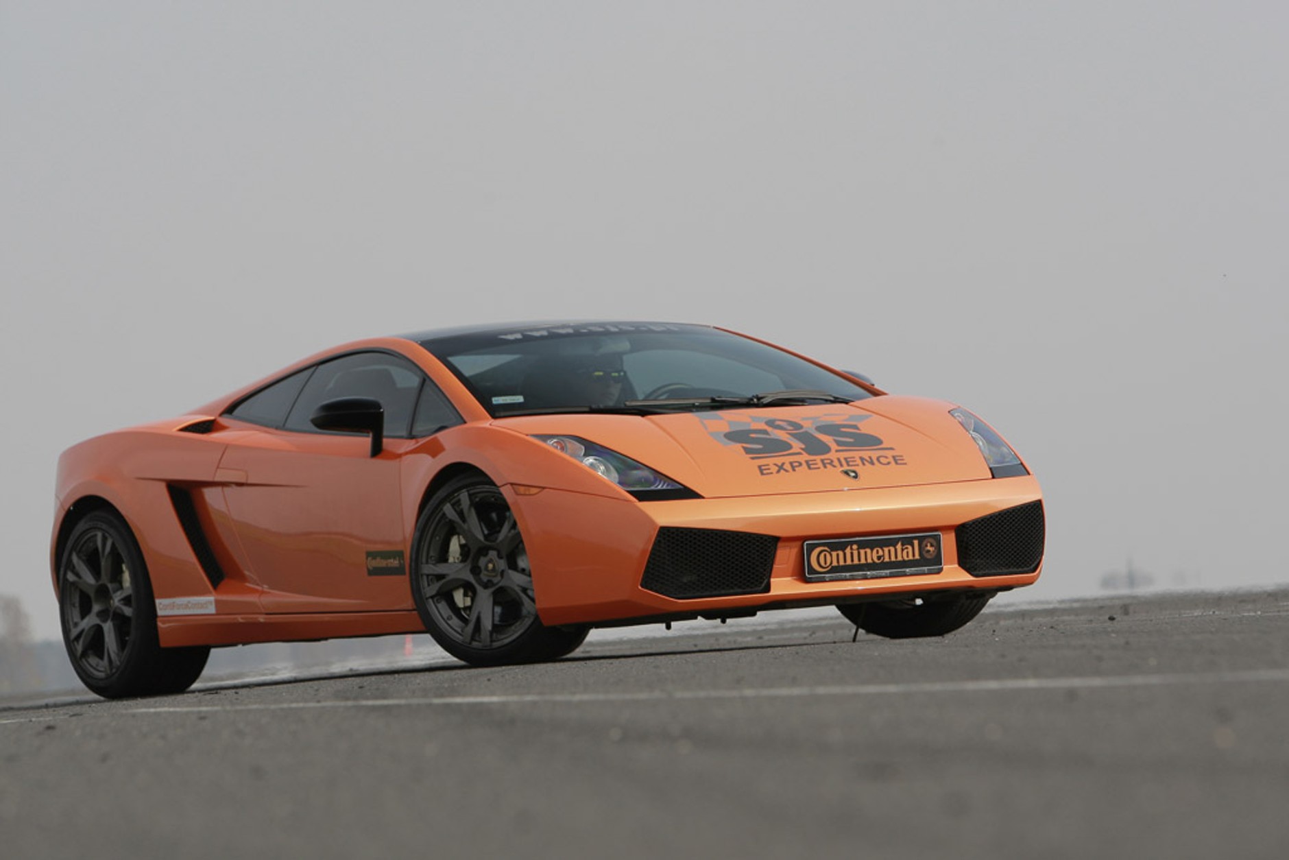 Test Lamborghini Gallardo: dzielny byk
