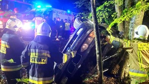 Zakończył nocną jazdę na drzewie. Kierowca BMW odebrał "prawko" kilka dni wcześniej