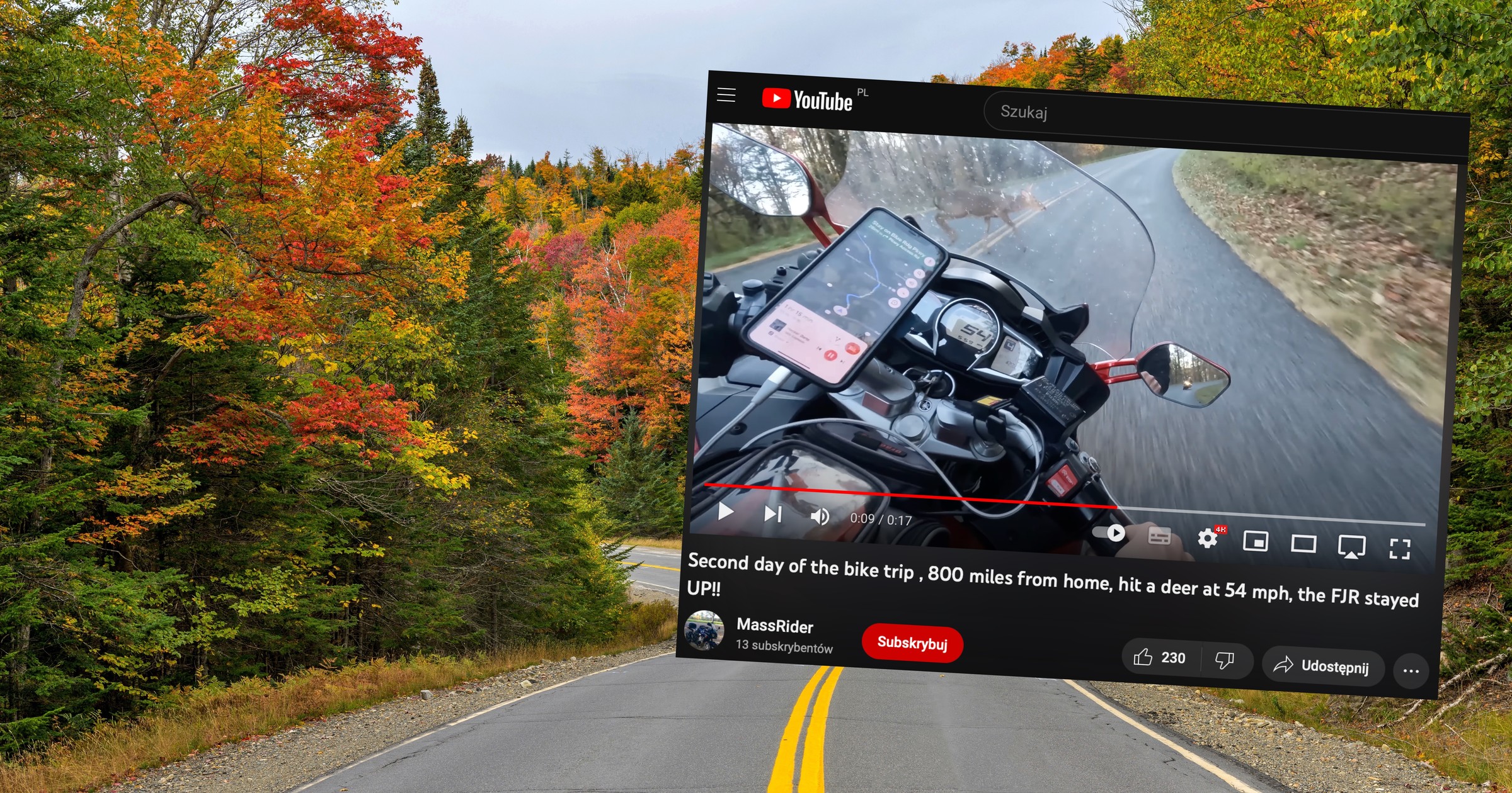 Motocyklista zderzył się z jeleniem. Mężczyzna miał dużo szczęścia