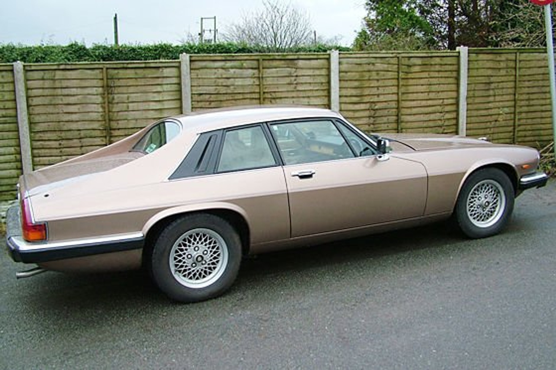 50 projektowych katastrof