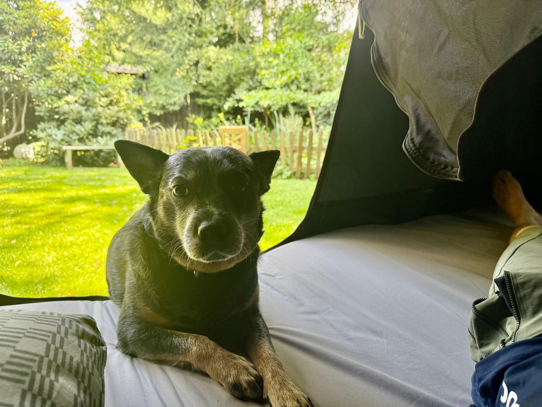 Namiot Thule Outset – test