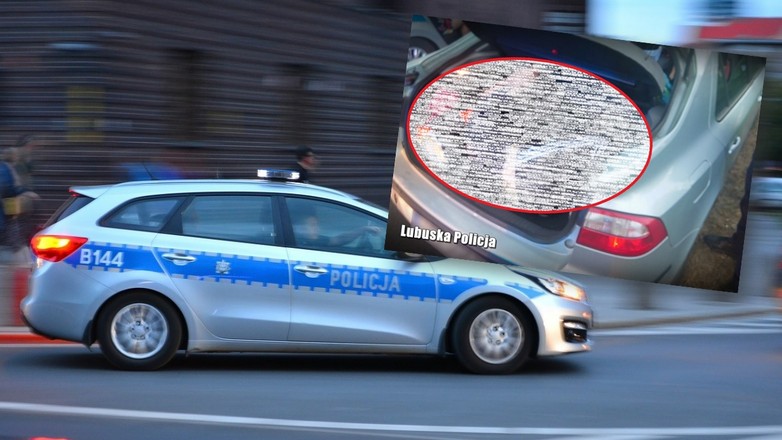 Uciekał bez prawa jazdy, za to z niespodzianką w bagażniku
