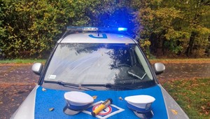 Jechał na grzyby. Zamiast z prawdziwkami i rydzami stanął oko w oko z policjantami