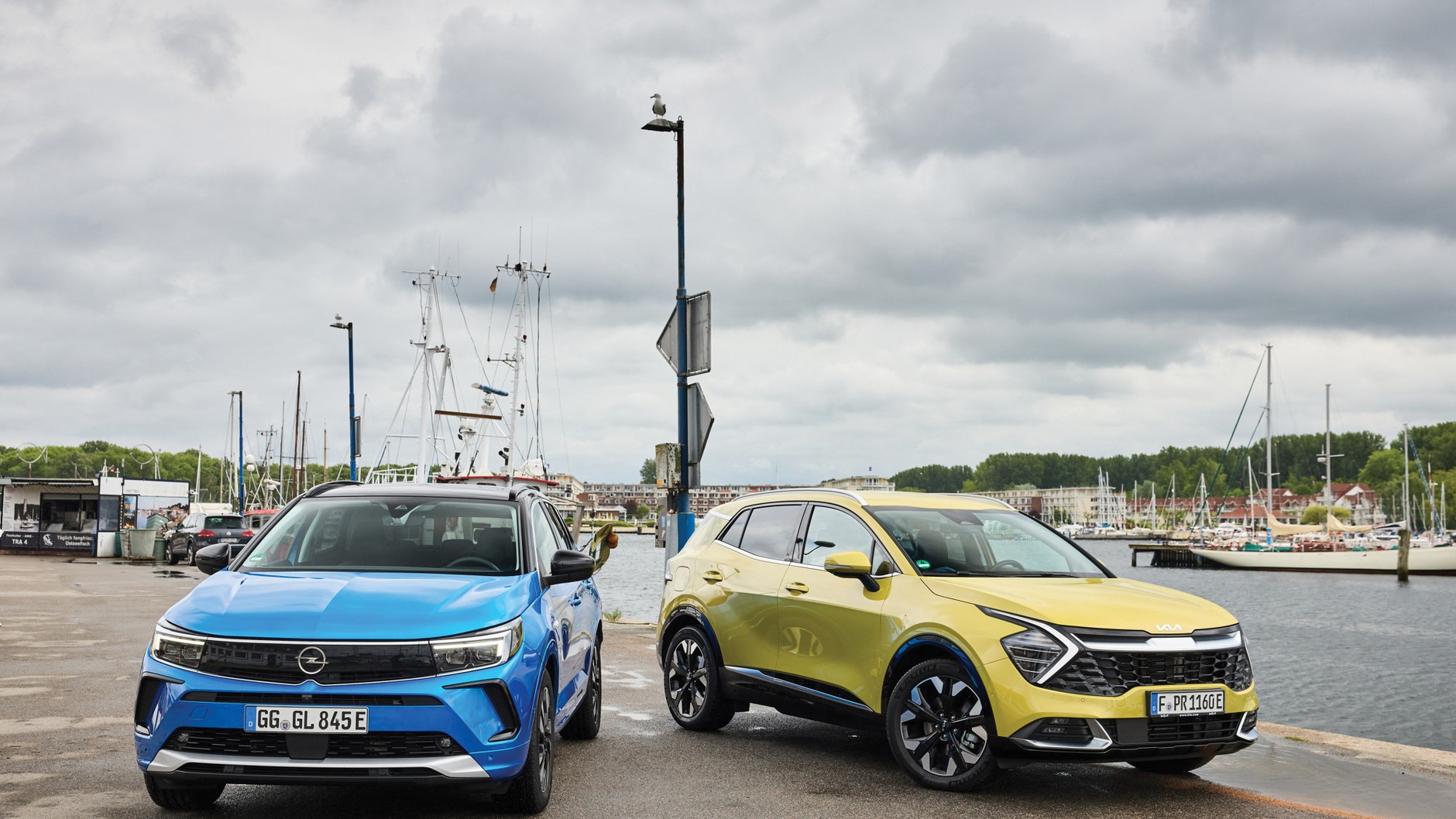 Kia Sportage plug-in kontra Opel Grandland plug-in