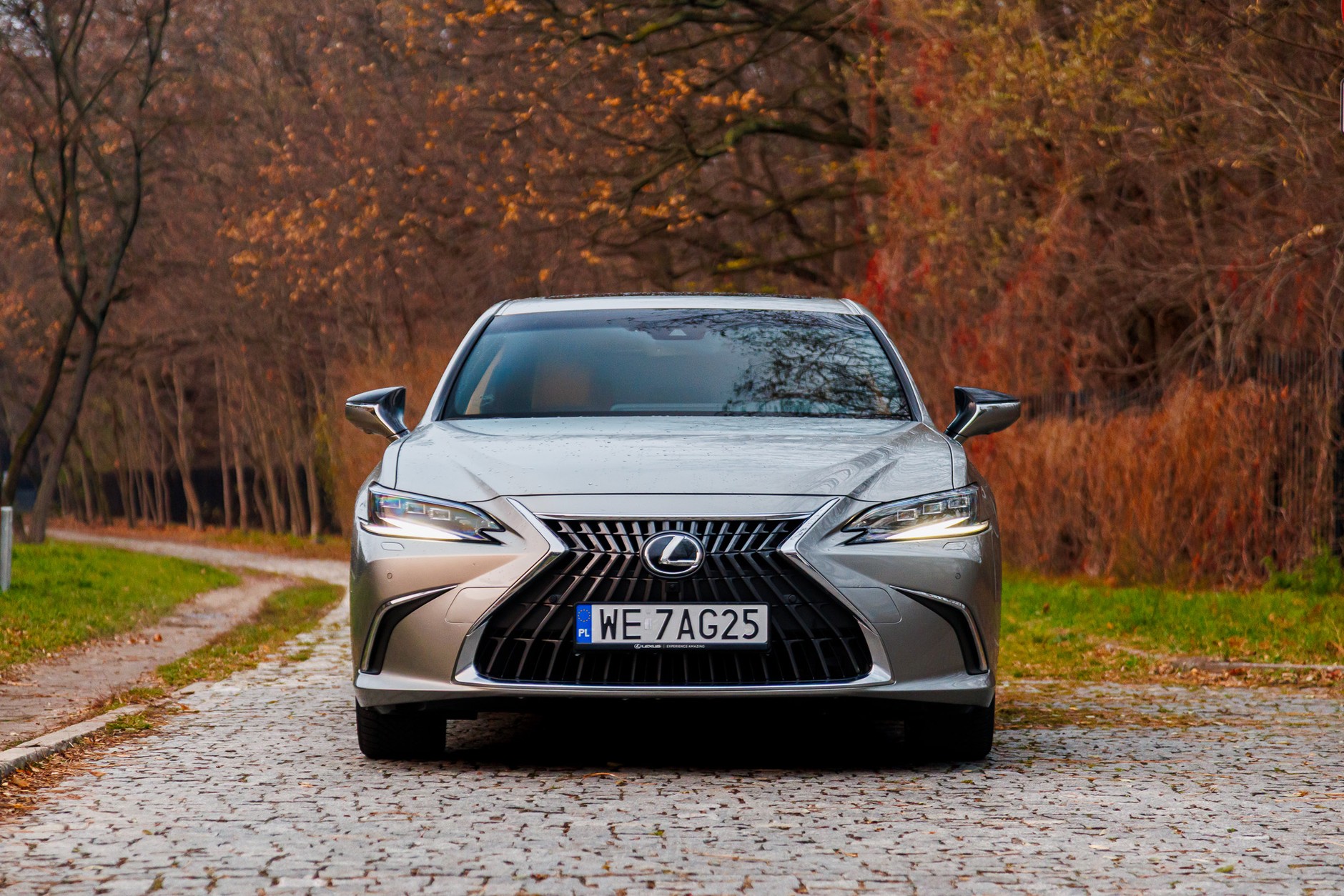 2024 Lexus ES300h