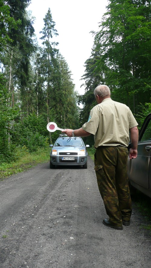 Turystyka - Nim ruszysz na grzyby