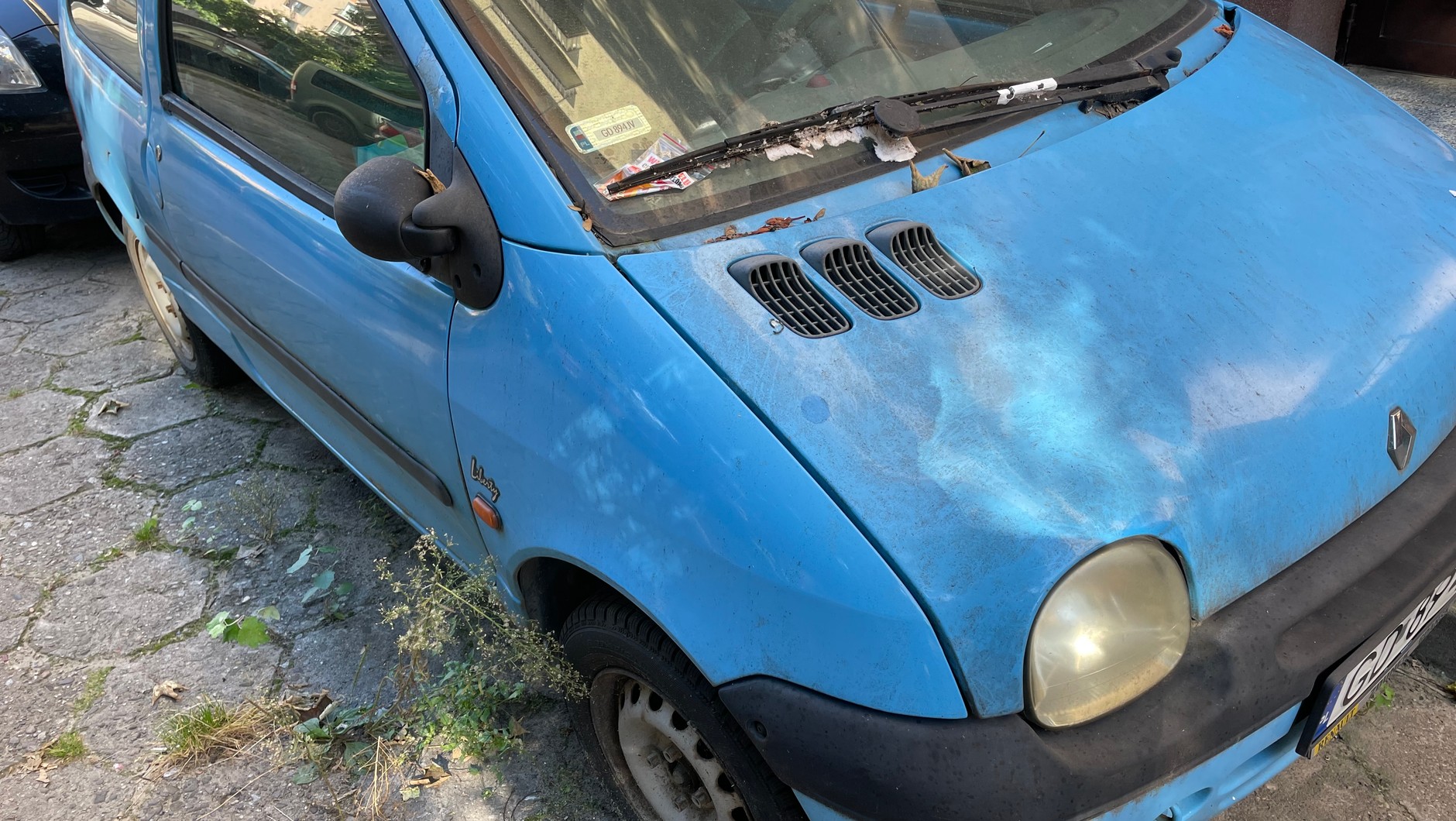 Twingo zaatakowane przez naturę pewnie też jest "martwą duszą"
