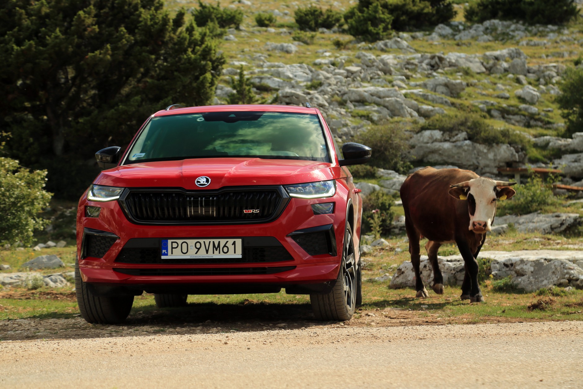 Skoda Kodiaq RS