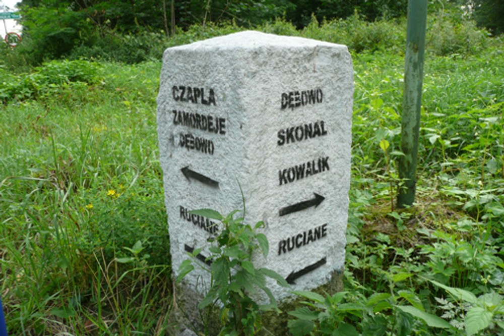 Turystyka - Nim ruszysz na grzyby