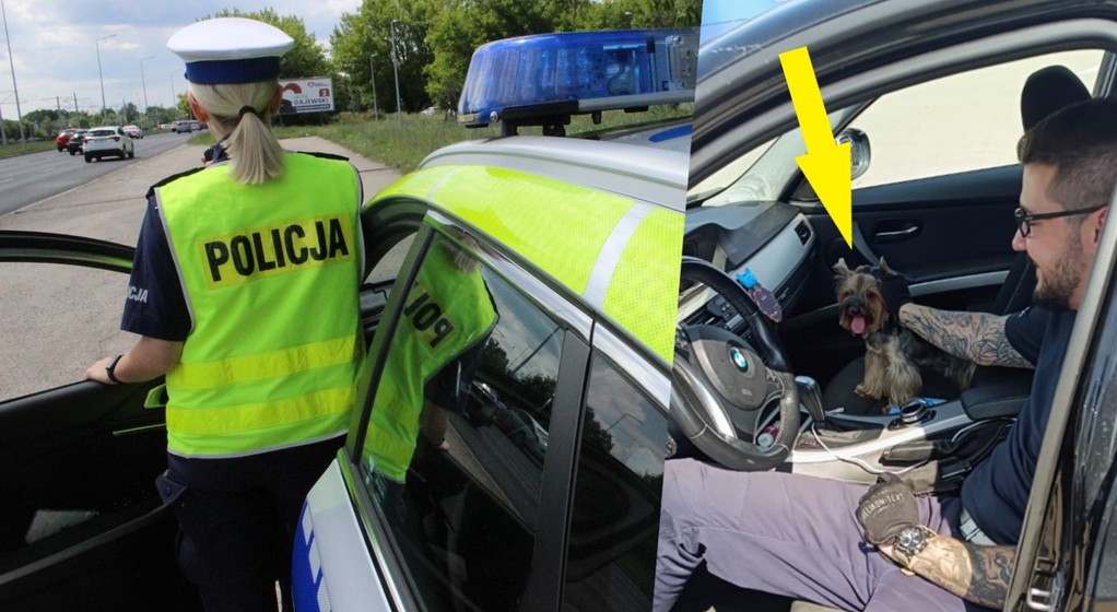 Policjanci uwolnili małego psa z nagrzanego BMW
