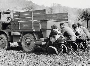 Unimog ma 75 lat. Najdzielniejszy wszędołaz służył do... sadzenia ziemniaków