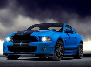 Nadciąga stado dzikich Mustangów