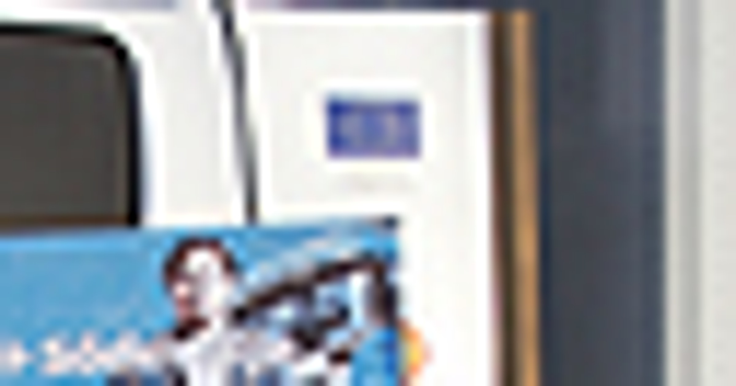 Young European Truck Driver 2007