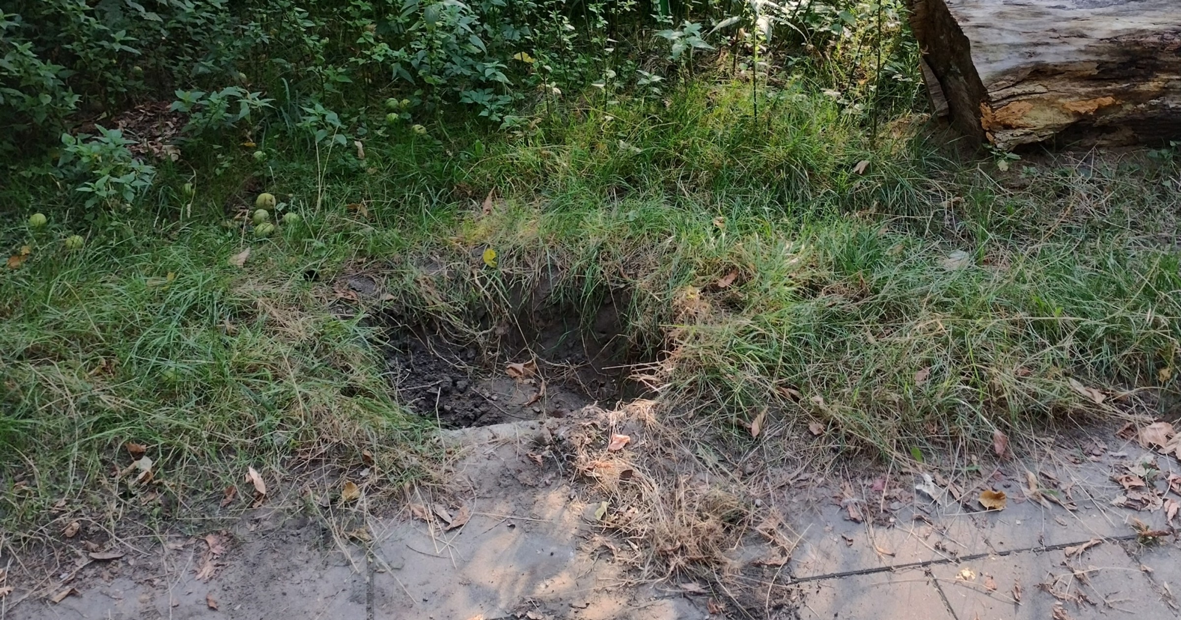 Warszawa. Zarząd Dróg Miejskich przyznał, że skradziono parkomat