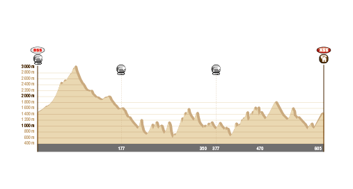 Dakar 2014: Polacy wśród najlepszych (10. etap, wyniki)