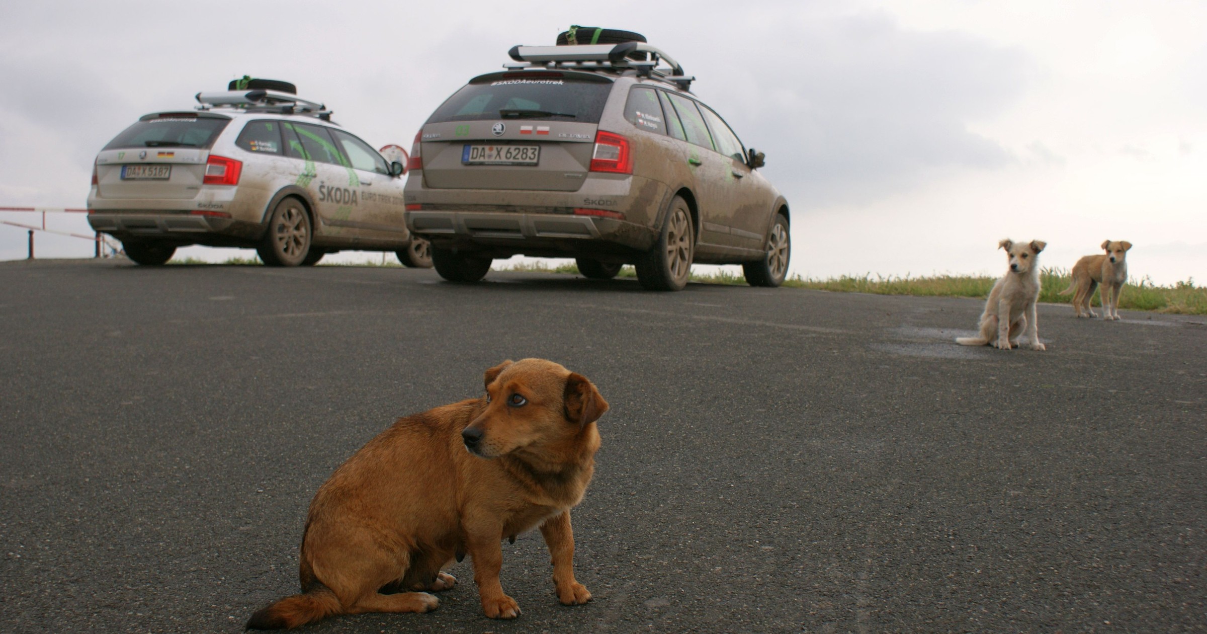 Skoda Octavia Scout w Rumunii