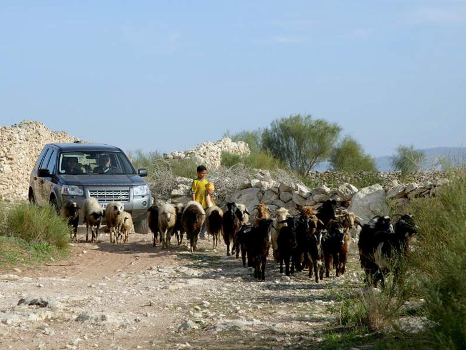 Land Rover: rekordowy rok 2006