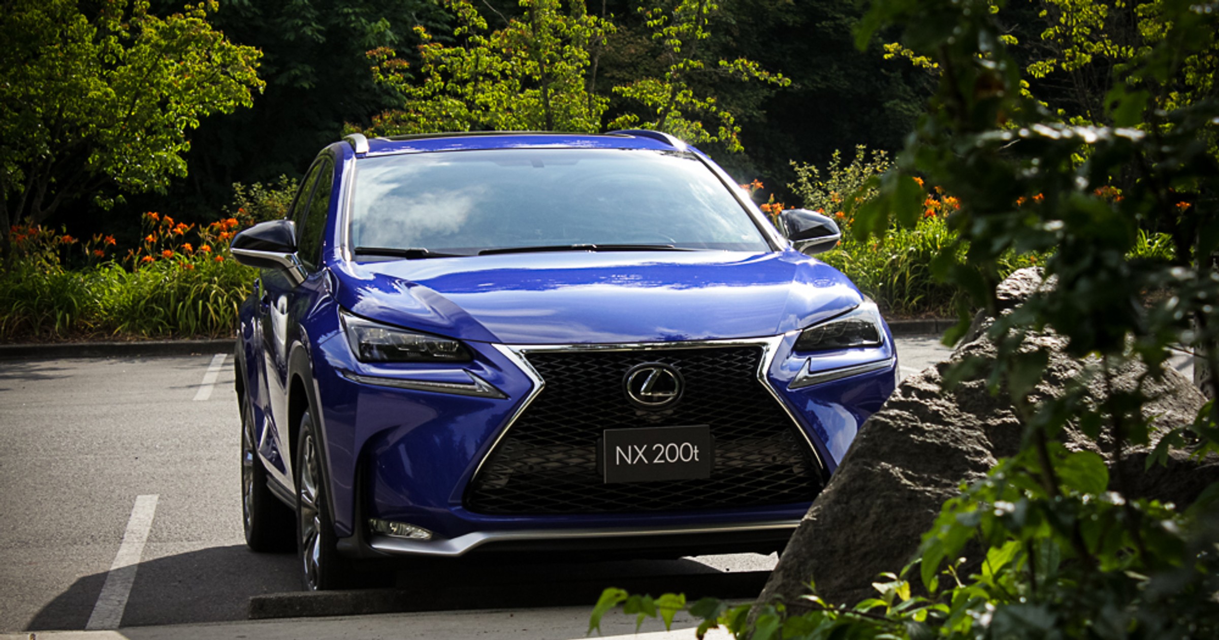 Lexus NX 2014