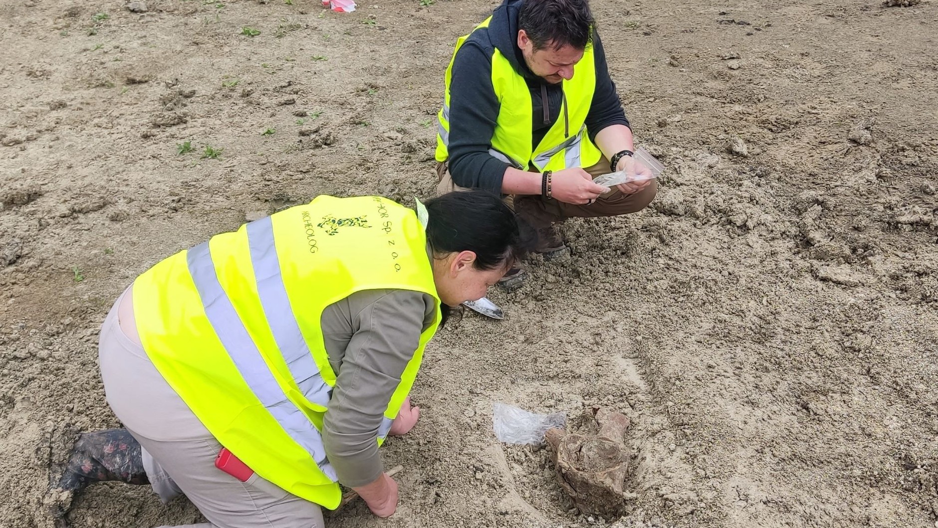 Nietypowe znaleziska na budowie S17