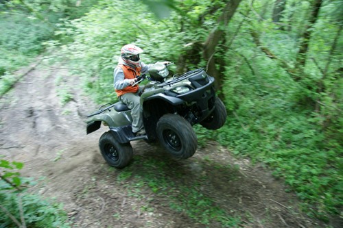 Jazda po lesie, poza drogami publicznymi, jest zabroniona i grozi wysokimi karami!