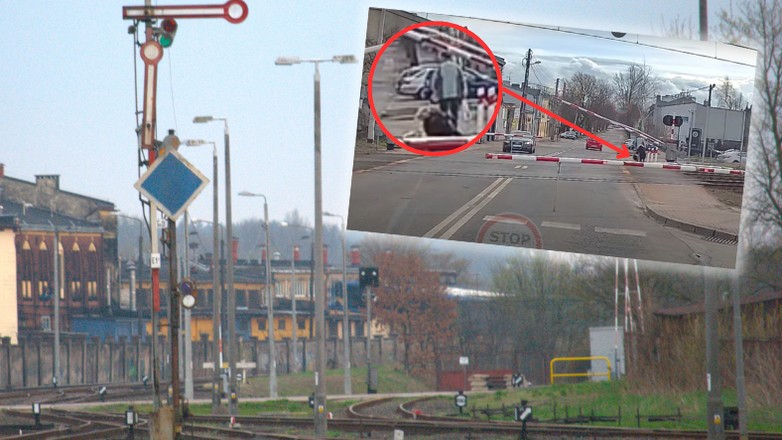 Takiego finału piesza się nie spodziewała (Screen: YouTube/StopCham)