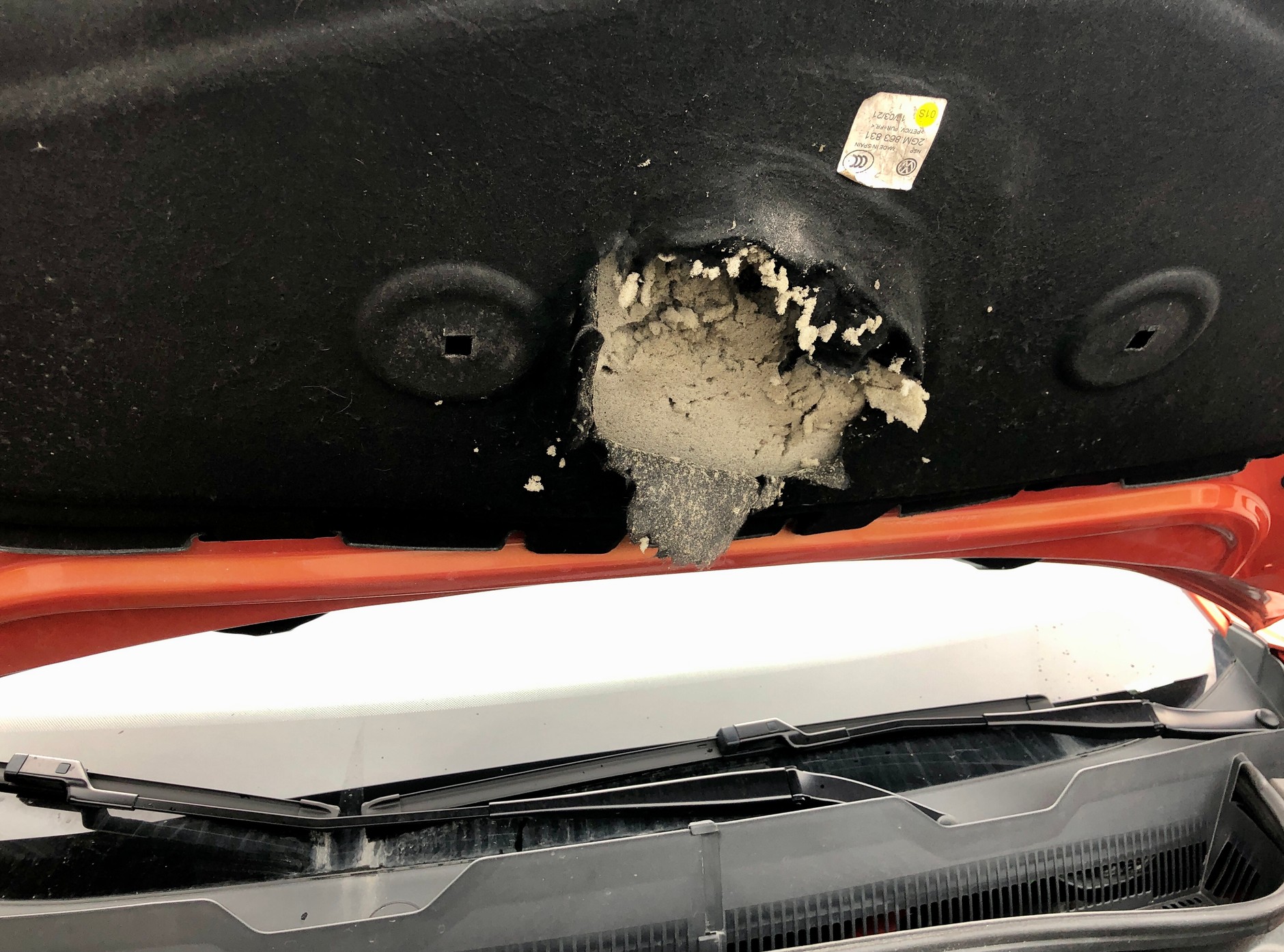 Kuna - wygryzione wygłuszenie pod maską