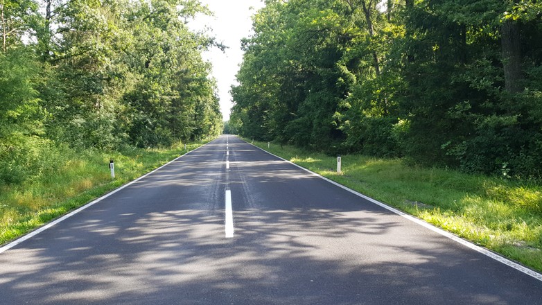 Efekt zebry podczas jazdy pojawia się, gdy jedziemy przez las w słoneczny dzień