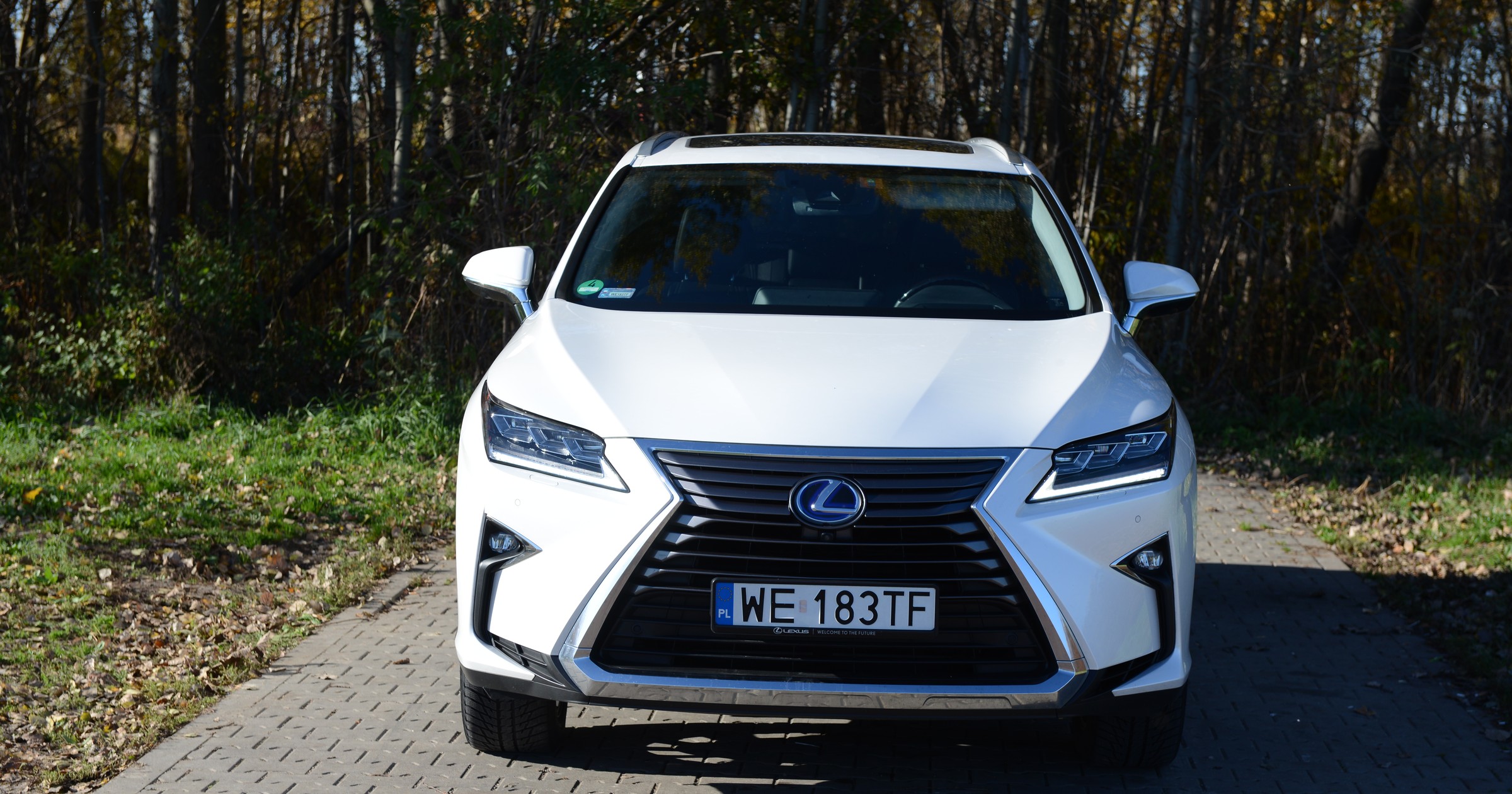 Lexus RX 450h L