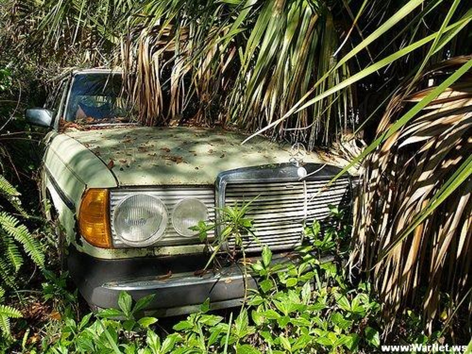 Supersamochody na szrocie