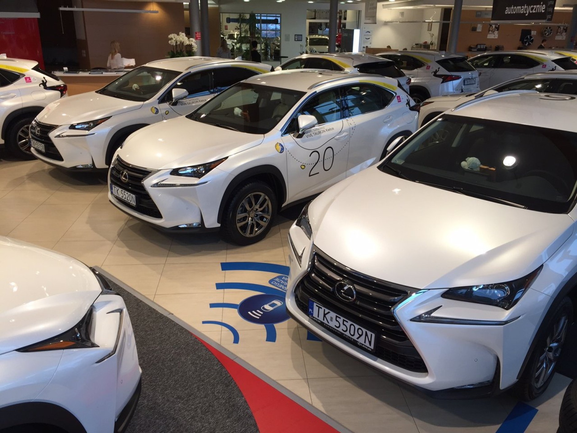 Lexusy dla ligowych szczypiornistów