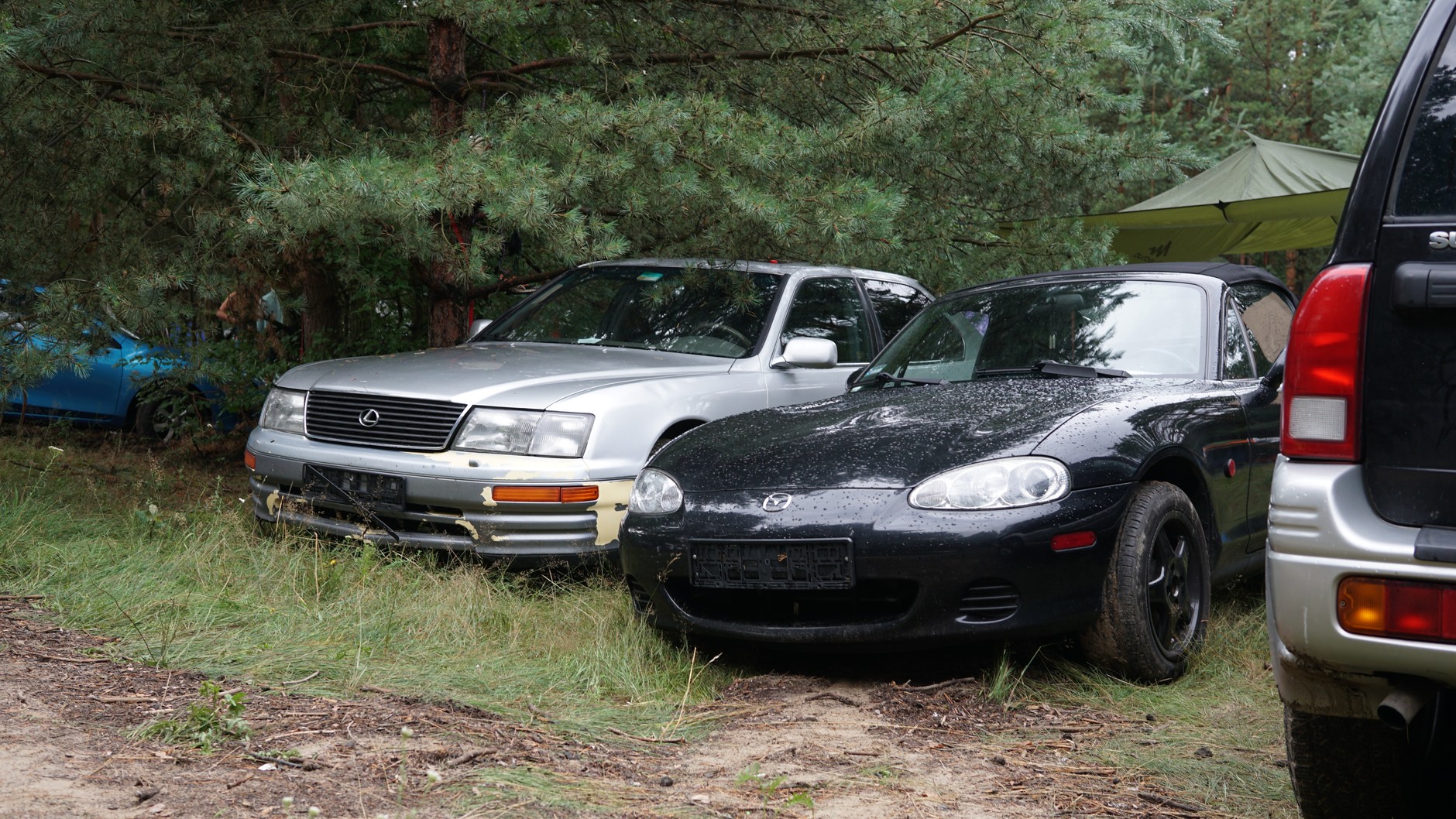 Nisko jak głosi pismo