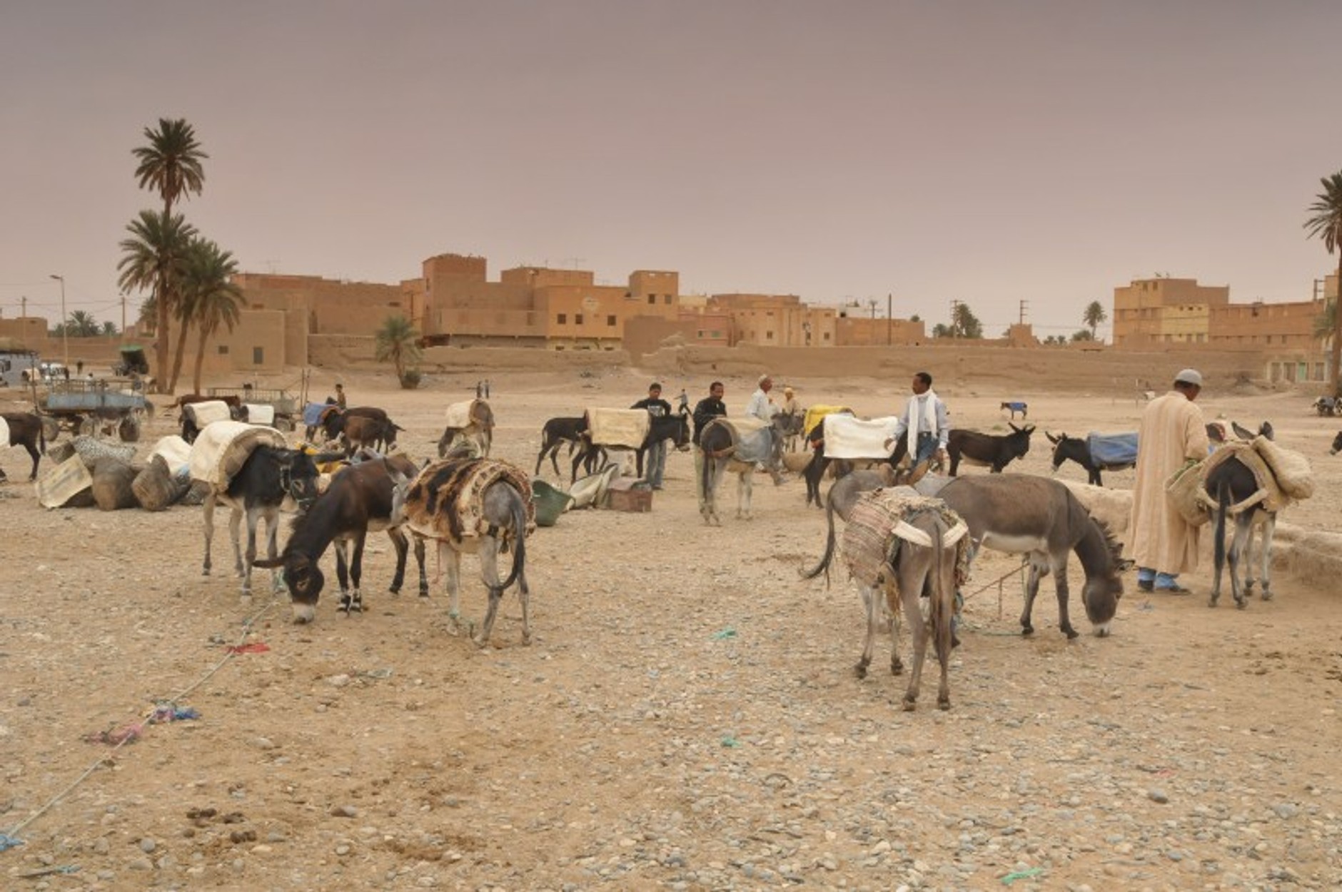 RMF Morocco Challenge 2010: pożegnanie z Afryką