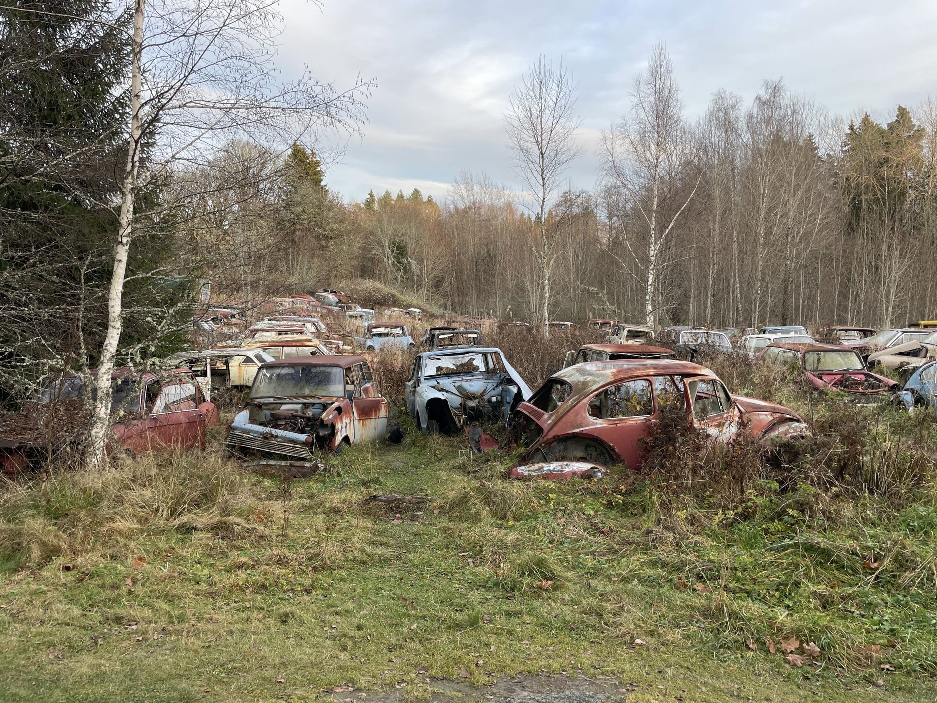 Cmentarzysko samochodów w Bastnas w Szwecji