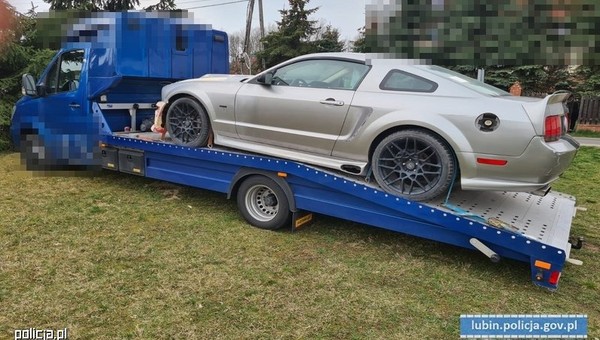 Kradziony Mustang prosto z lasu. Policja odzyskała też lawetę Mercedesa