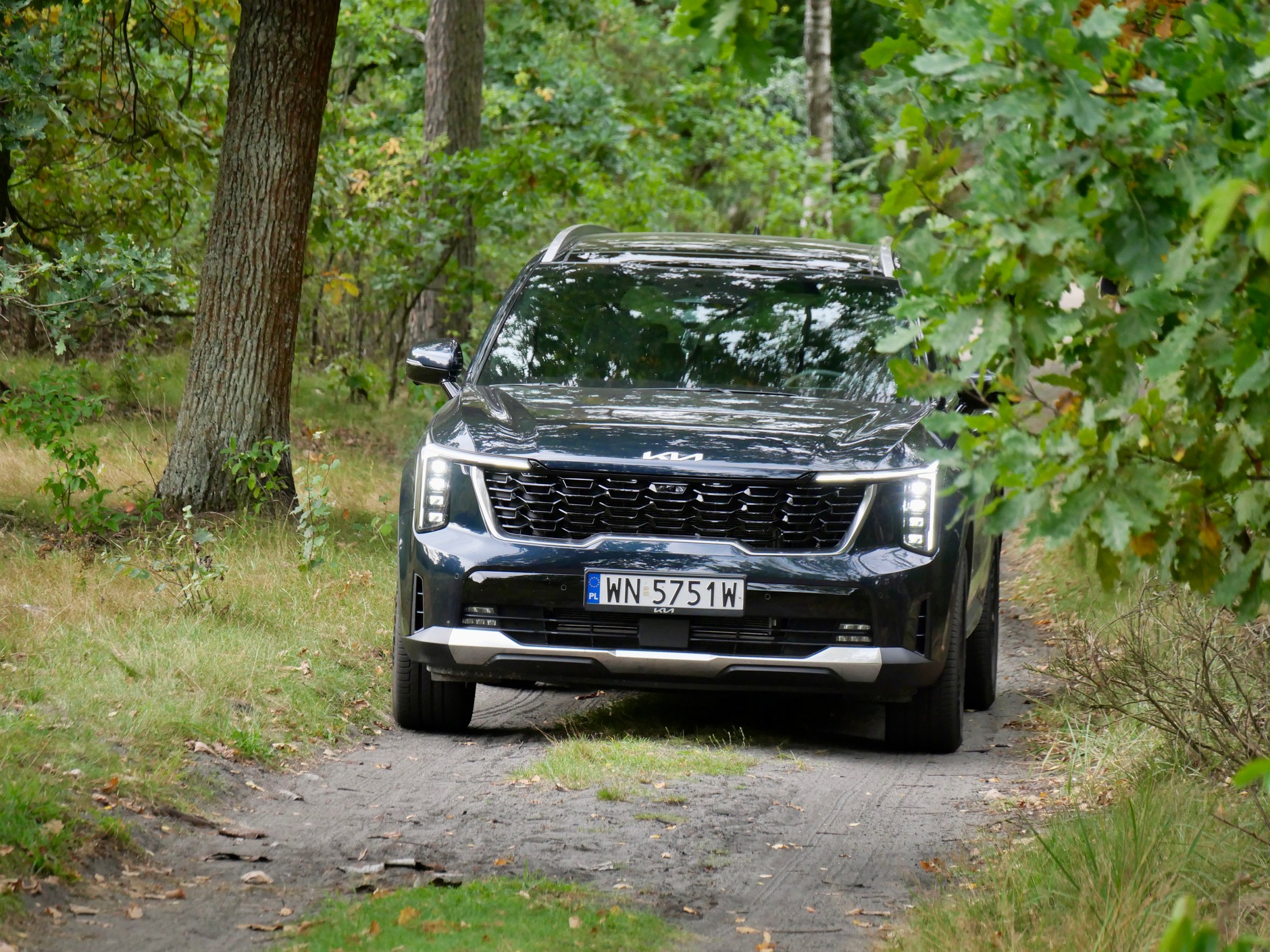 Kia Sorento 1.6 T-GDI HEV Prestige Line