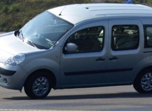 Przewrotne Kangoo
