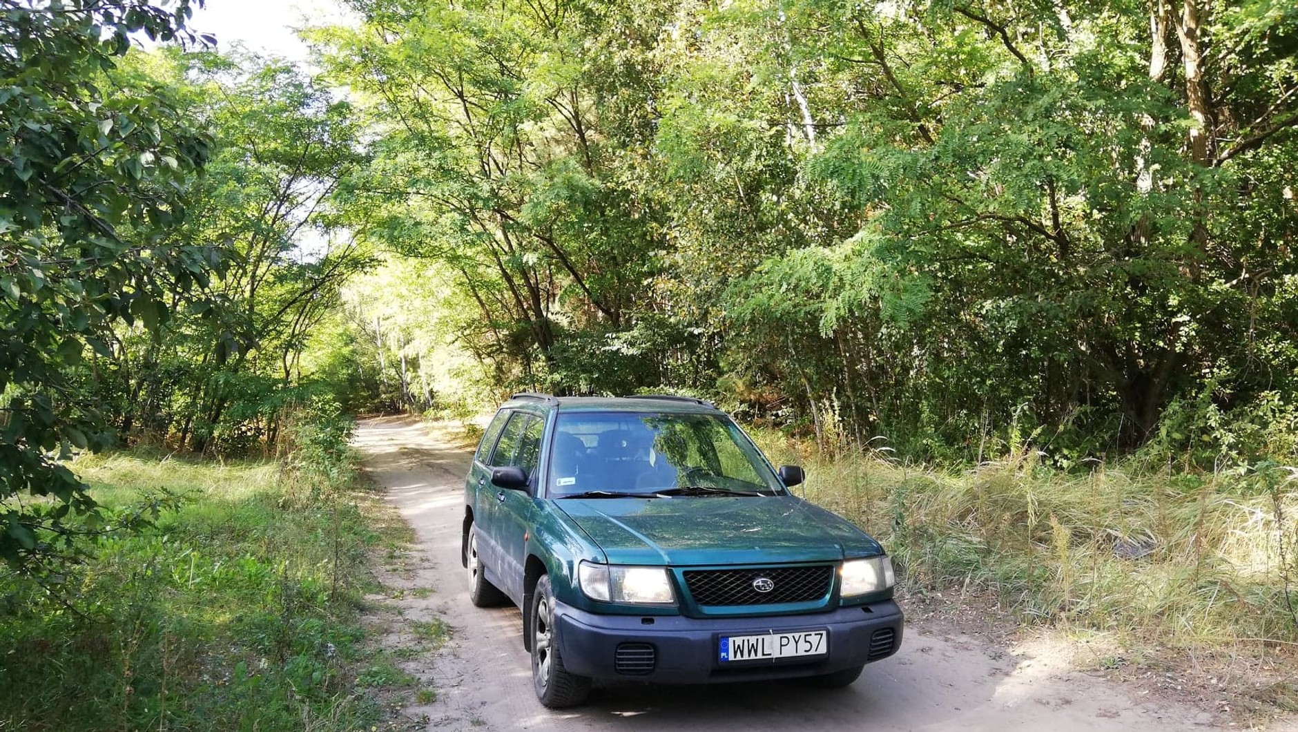 Droga leśna czy polna?
