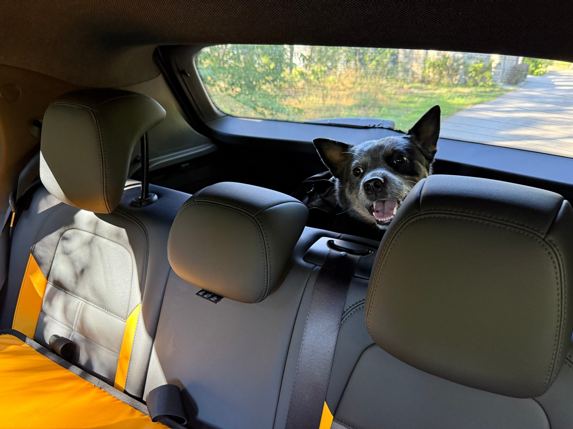 Jeep Avenger 4xe The North Face