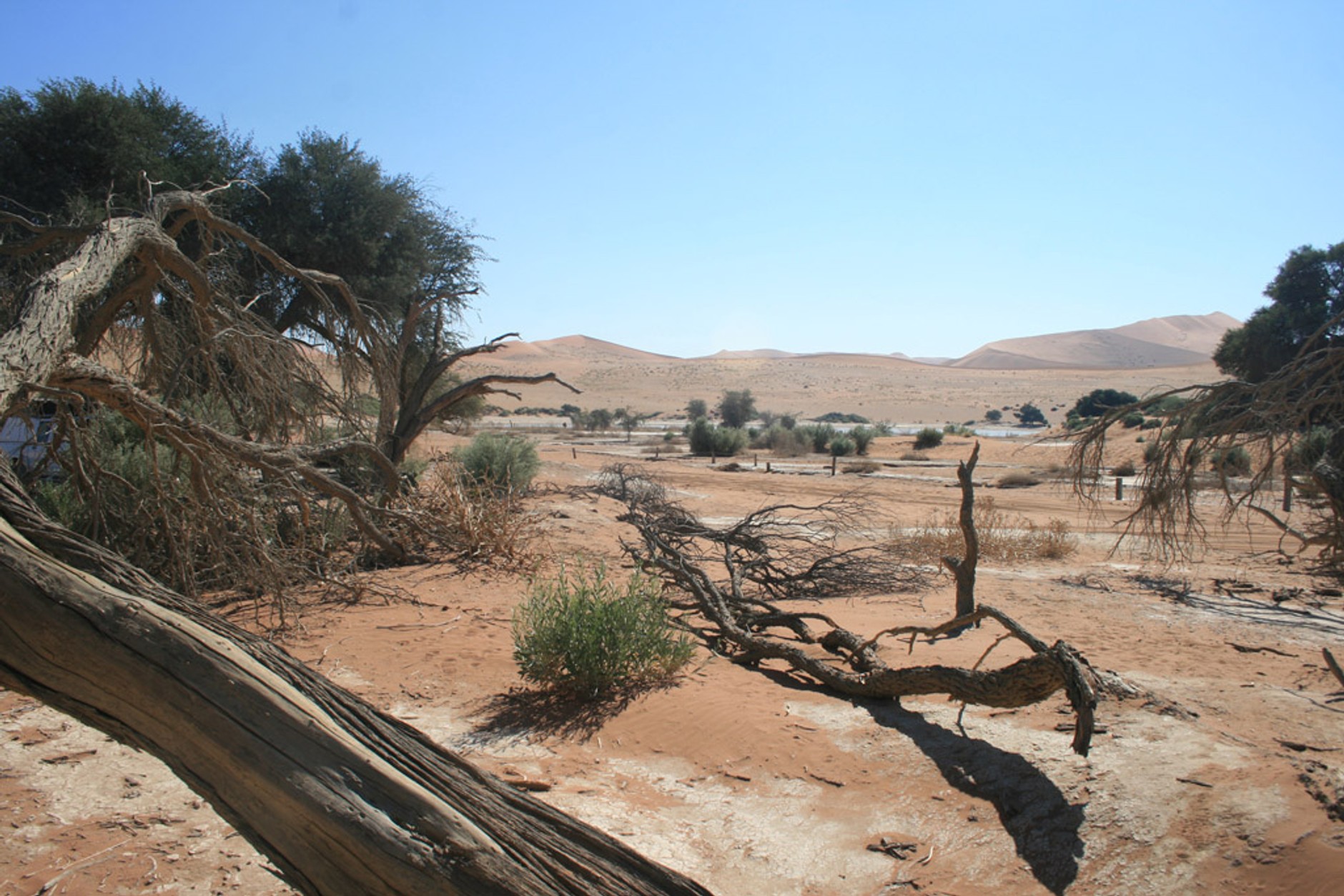 Skodą Yeti zwiedzamy Namibię