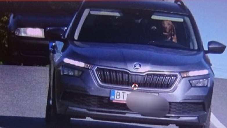 Pies za kierownicą samochodu na Słowackim zdjęciu z pomiaru prędkości