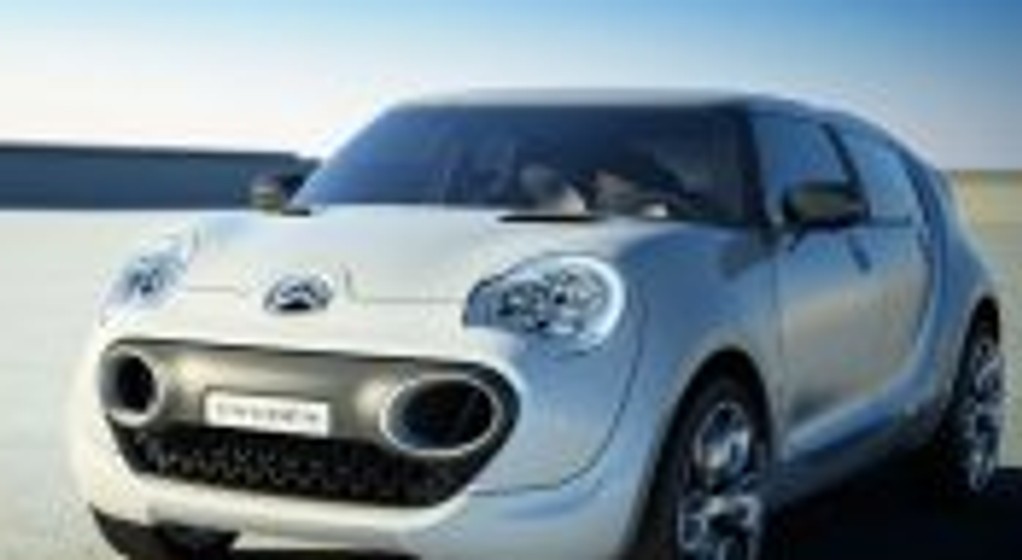 Ekologiczny Kaktus Citroena