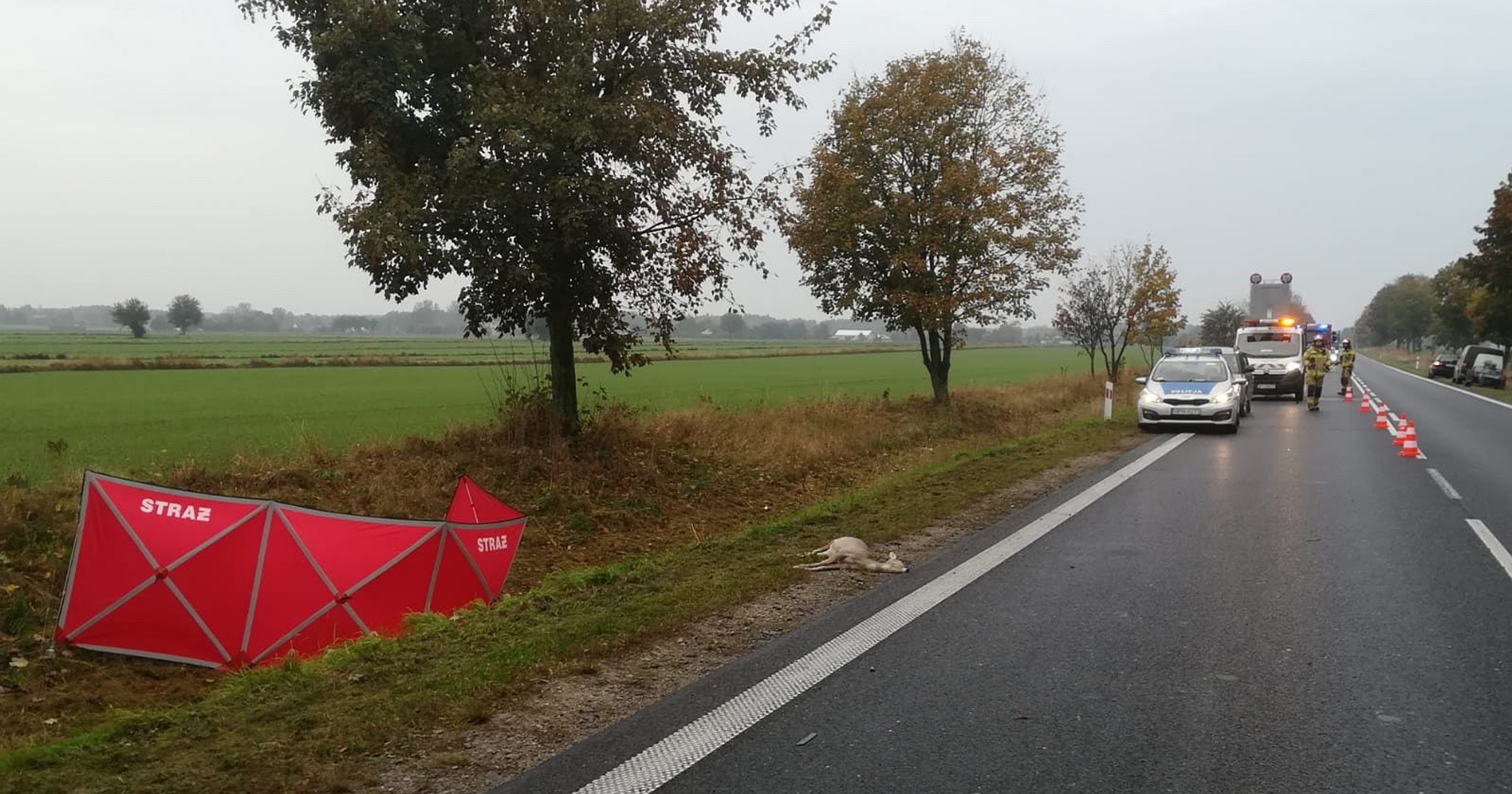Śmiertelne potrącenie pod Radomiem