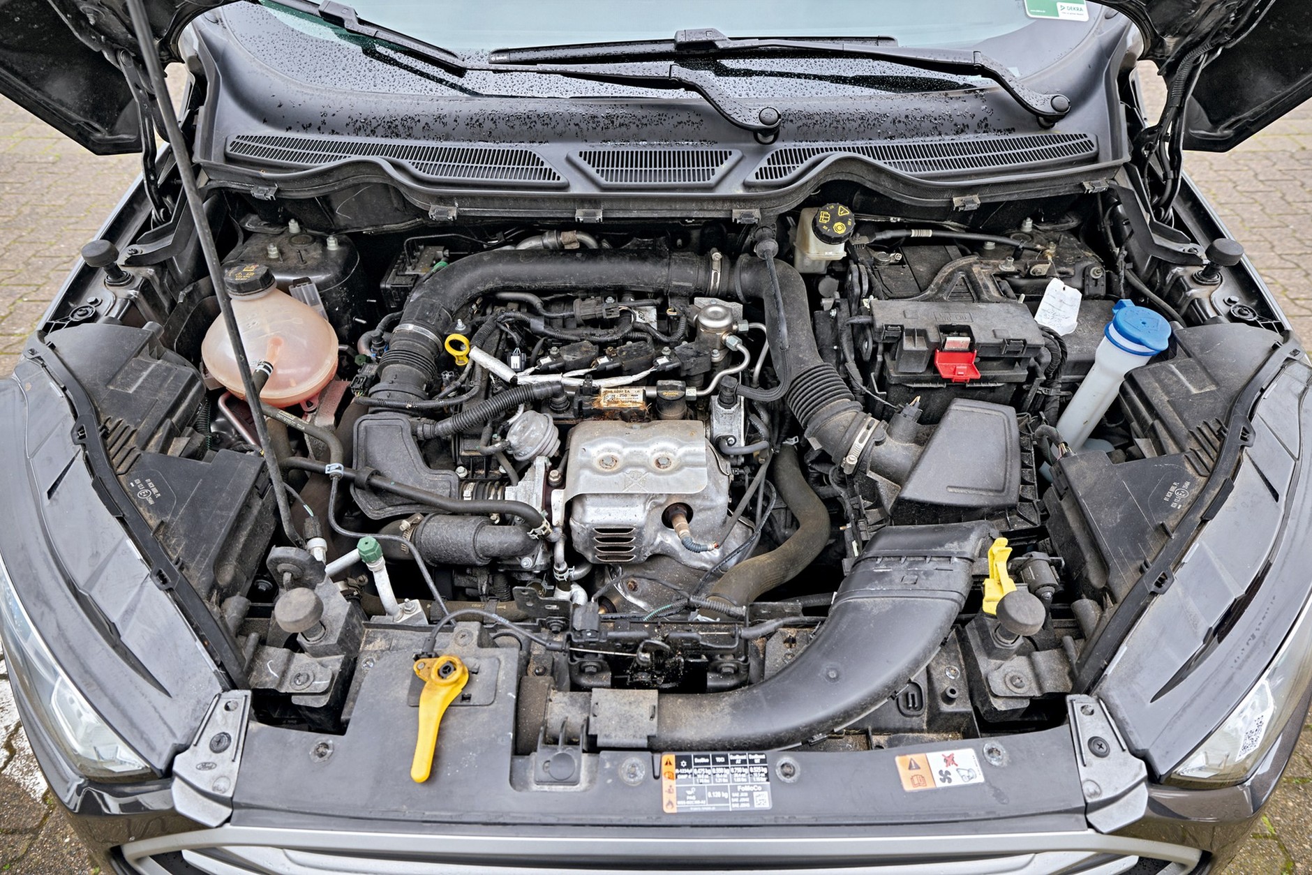 Ford EcoSport – poradnik kupującego