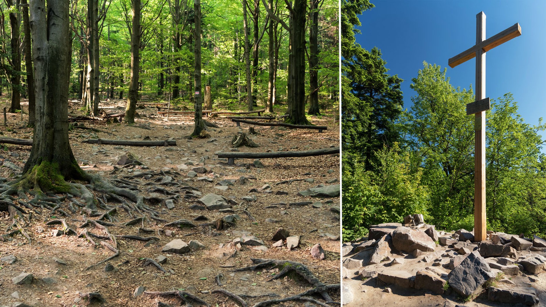 Weekend to za mało… Skodą Superb zwiedzamy Kielecczyznę
