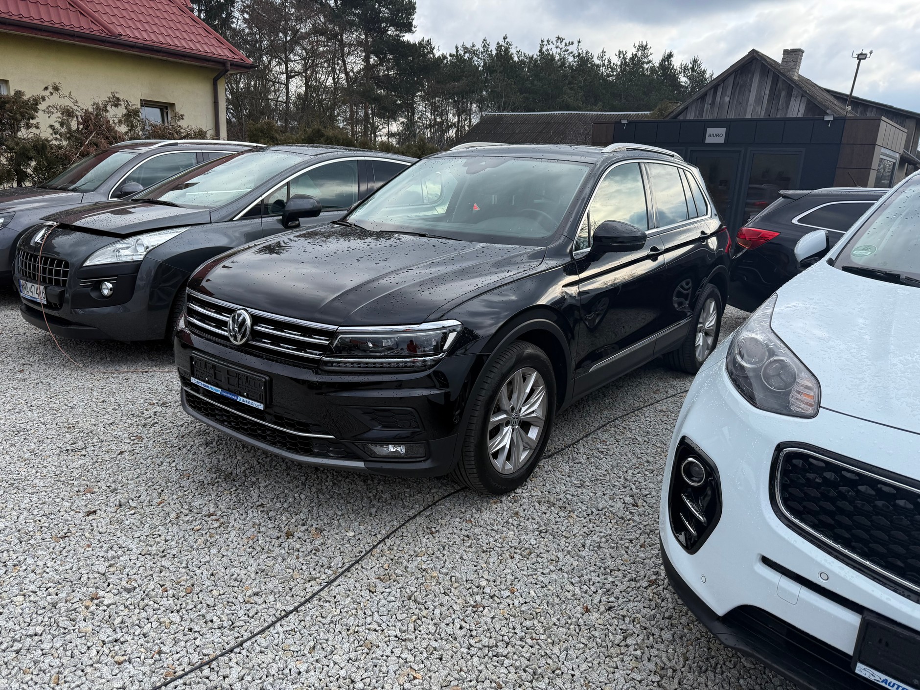 Volkswagen Tiguan z ogłoszenia